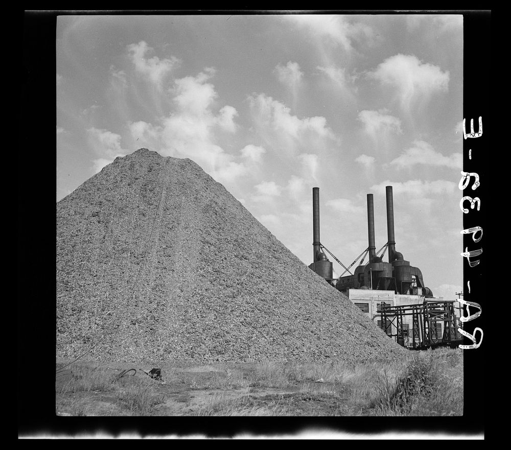 Waste sawdust from the Columbia River mills is shipped to Portland power plants for use as fuel. Oregon. Sourced from the…