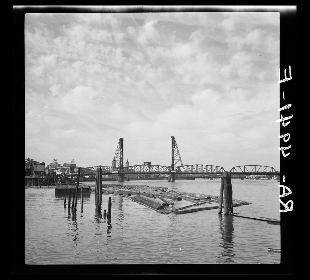 Log booms in Willamette River. Portland, Oregon. Sourced from the Library of Congress.