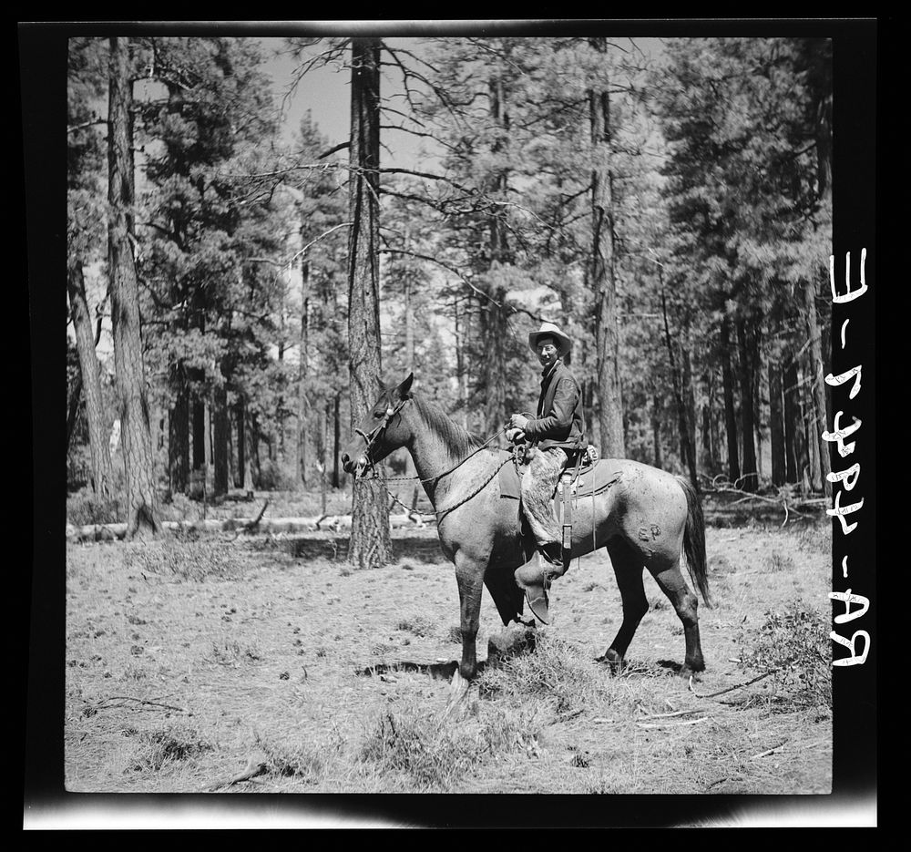 Cowpuncher in summer pasture. Deschutes National Forest, Oregon. Sourced from the Library of Congress.