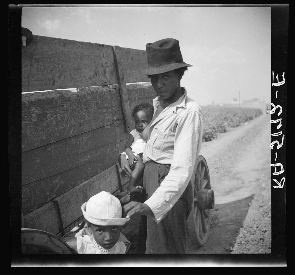 Cotton picker. Kaufman County, Texas. Sourced from the Library of Congress.