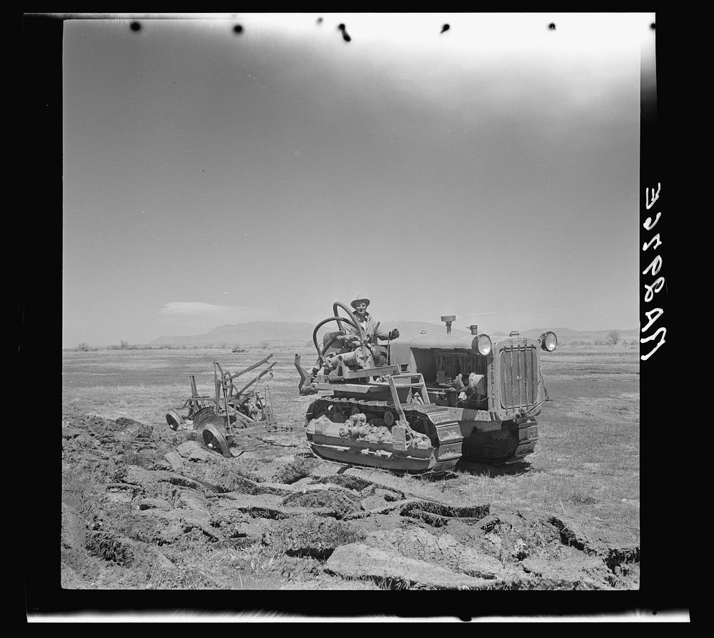 Resettled farmer breaking up new land for farming. Bosque Farms, New Mexico. Sourced from the Library of Congress.