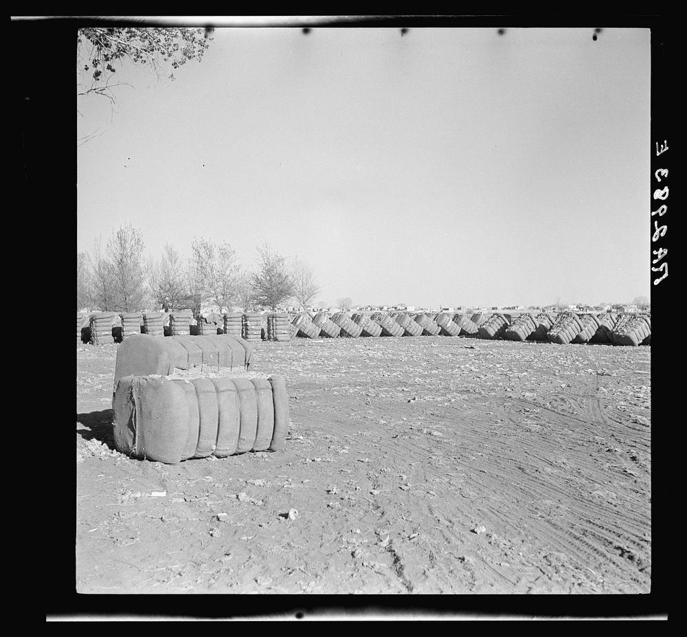 Bales of cotton. Roswell, New Mexico. Sourced from the Library of Congress.