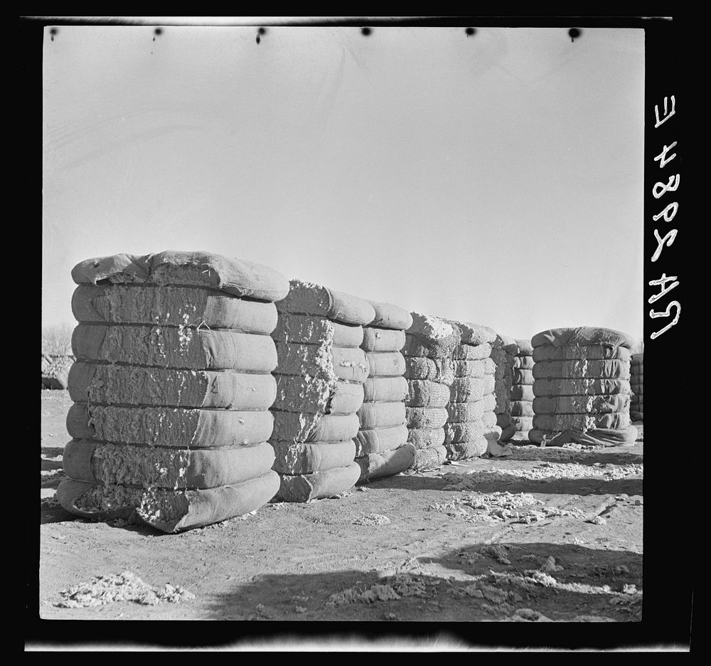 Bales of cotton. Roswell, New Mexico. Sourced from the Library of Congress.