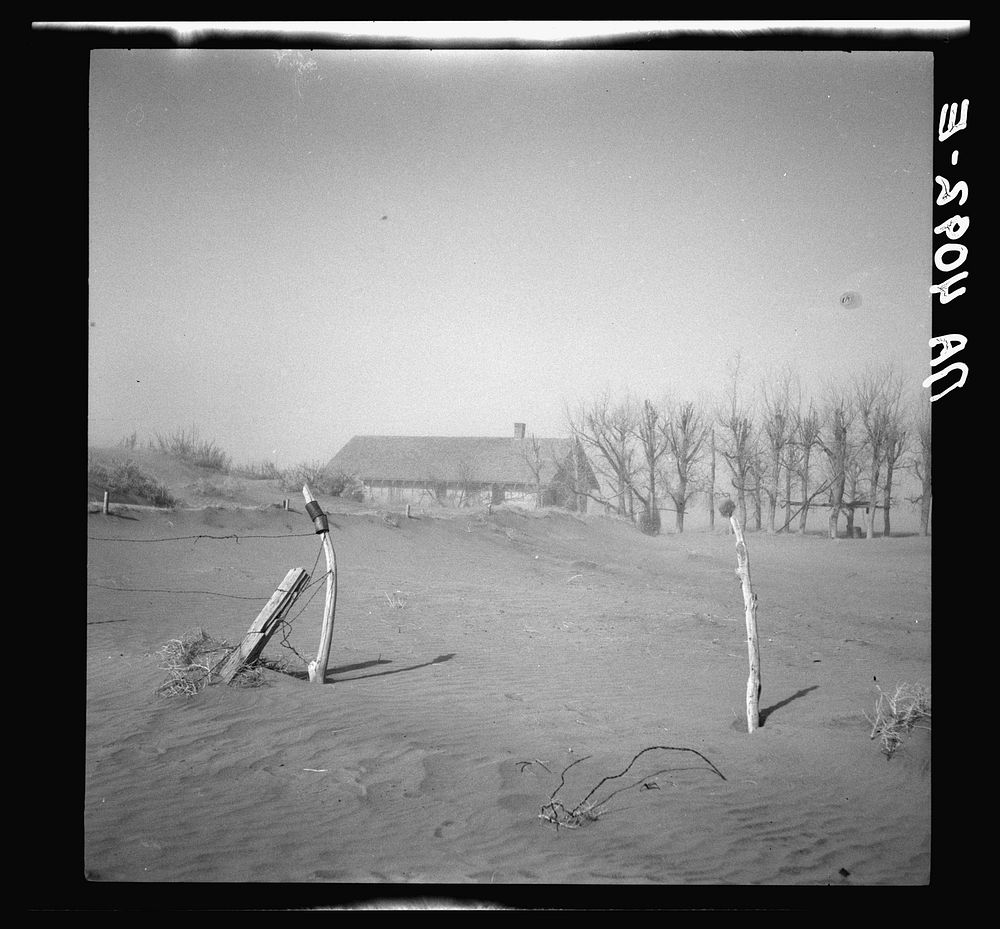 garden now hidden sand. Cimarron | Free Photo - rawpixel