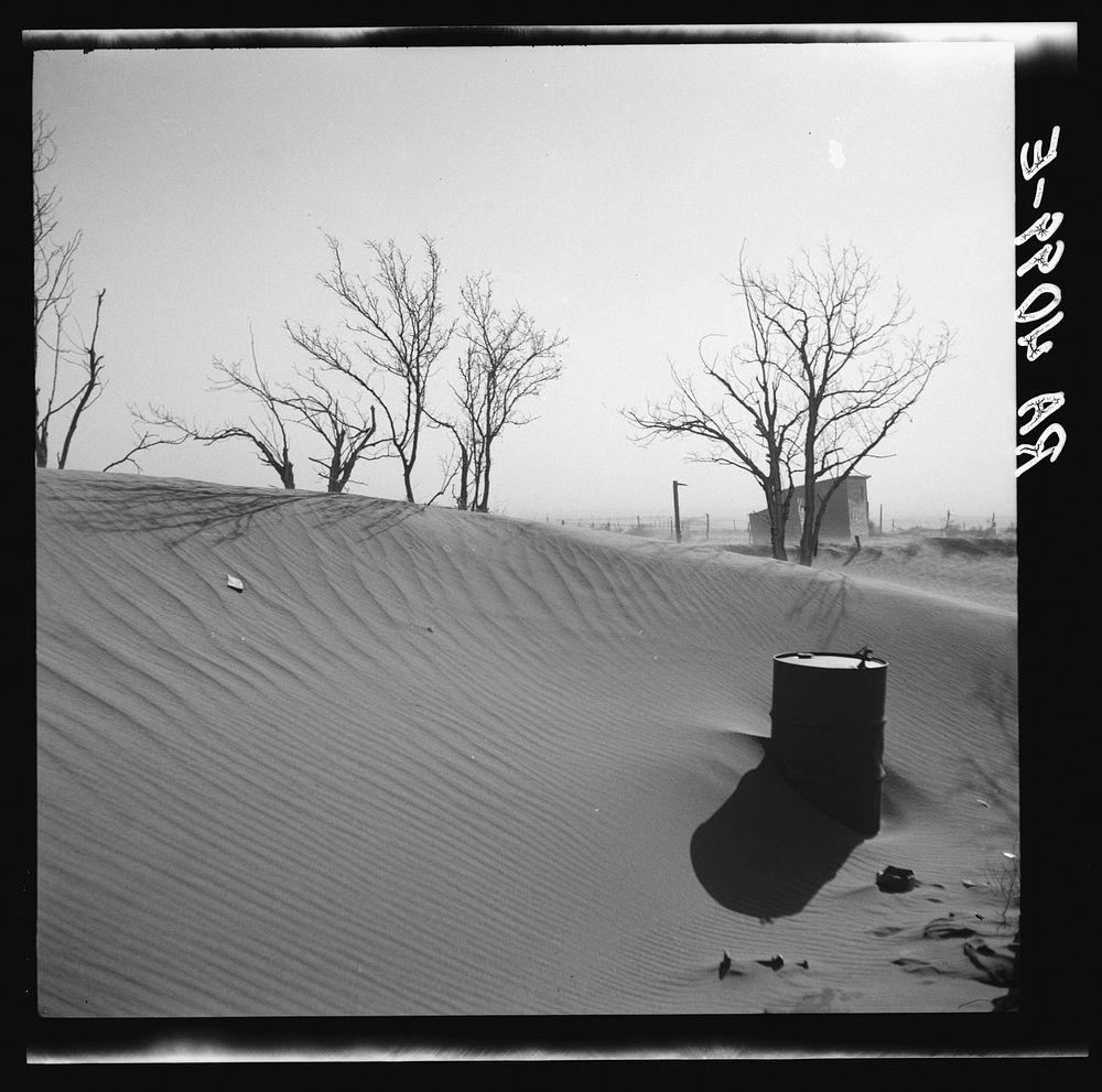 Sand dunes on a farm in Cimarron County, Oklahoma. Sourced from the Library of Congress.