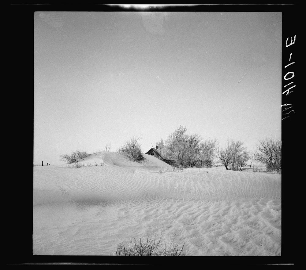 Severe wind erosion made this farm uninhabitable. Cimarron County, Oklahoma. Sourced from the Library of Congress.