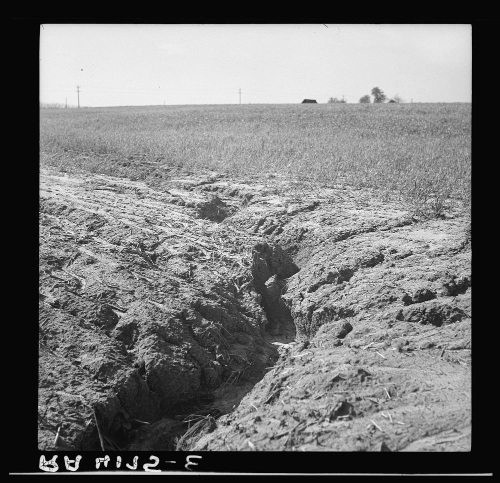 Erosion. Crawford County, Kansas. Sourced from the Library of Congress.