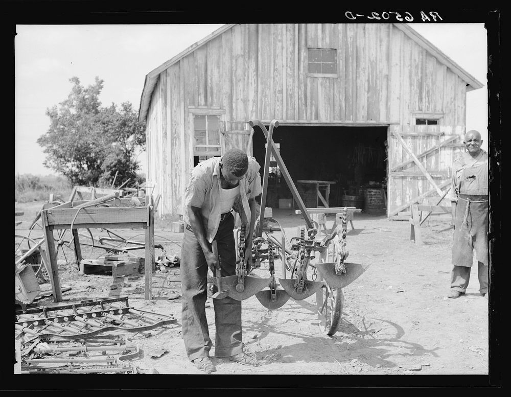 "Gang" cultivating plow being repaired at Sunflower plantation. Sunflower, Mississippi. Sourced from the Library of Congress.