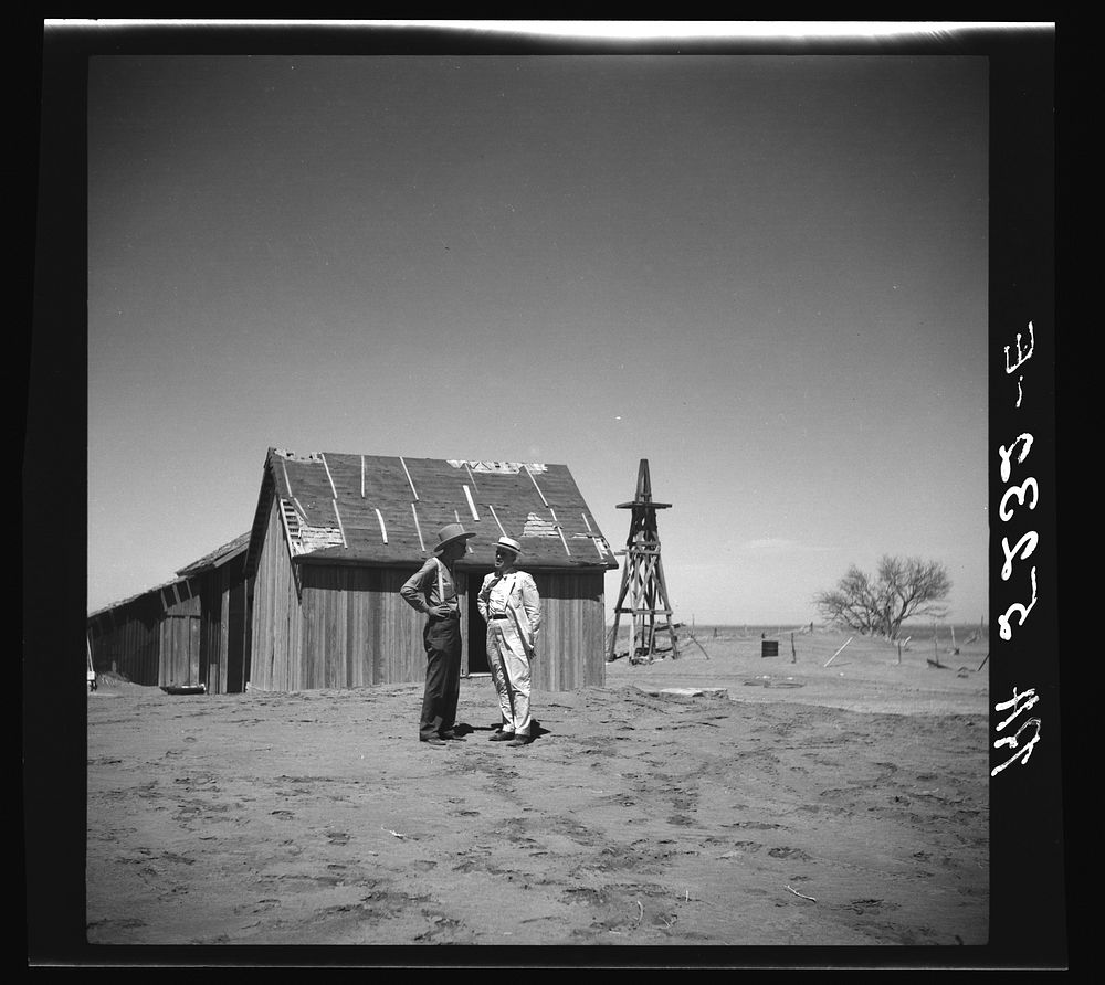 Dr. Cooke, chairman of drought committee, at abandoned farm near Guymon, Oklahoma. President's report. Sourced from the…