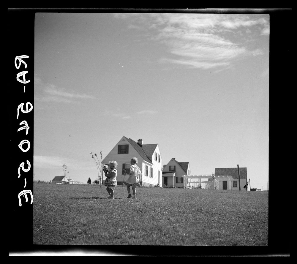 Children of the Westmoreland Homesteads, Pennsylvania. Sourced from the Library of Congress.