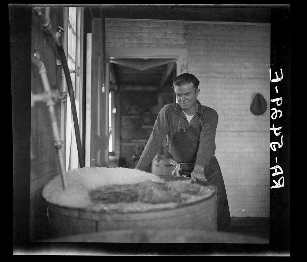 Washing oysters. Rock Point, Maryland. Sourced from the Library of Congress.