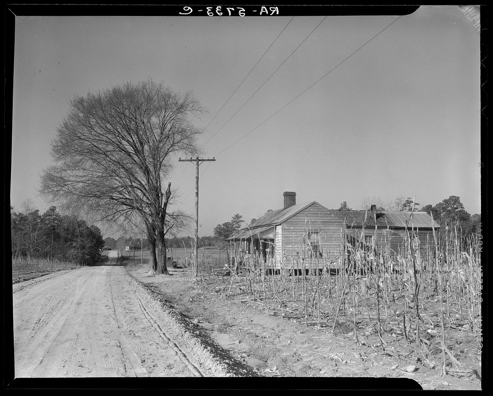 Tenant farm, tract number 189. Johnson County, North Carolina. Sourced from the Library of Congress.