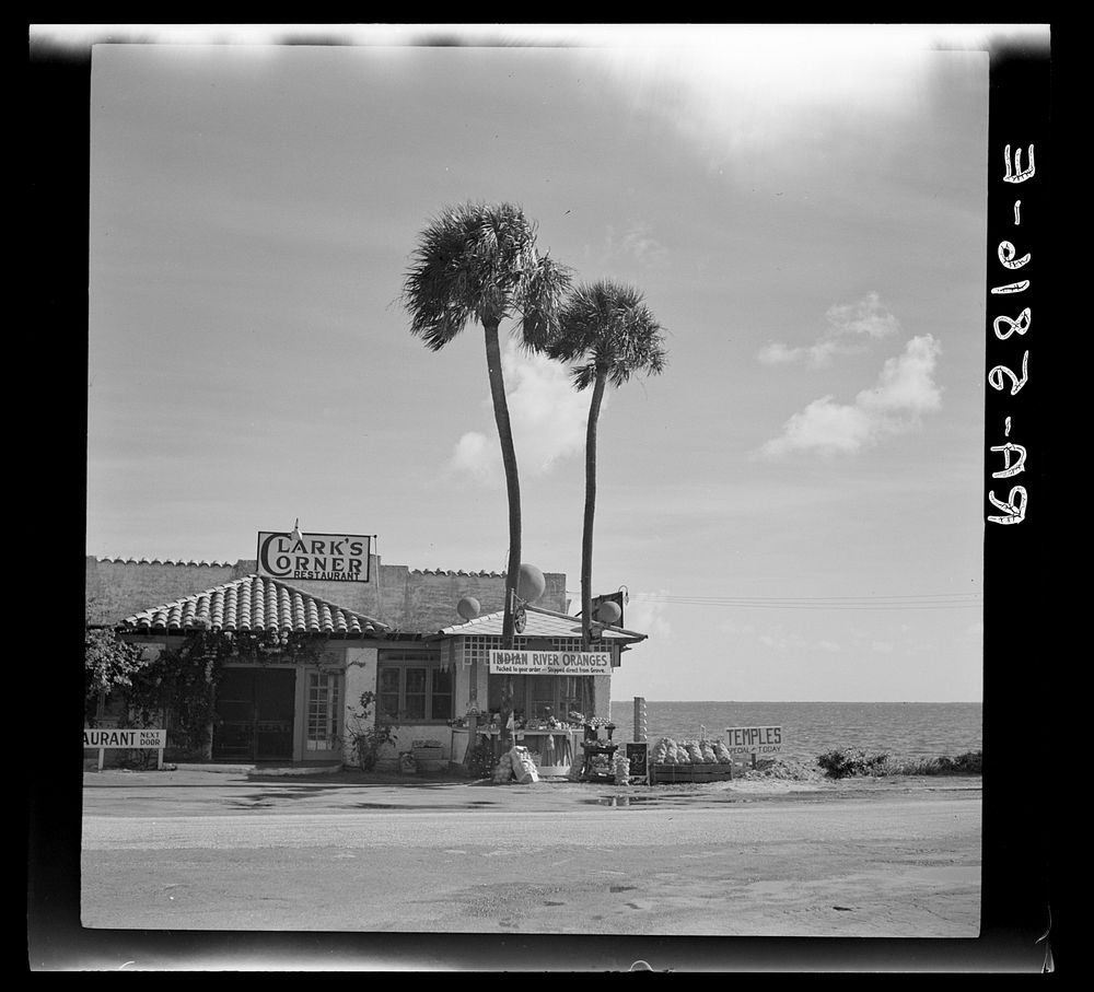 Roadstand near Cocoa, Florida. Polk County. Sourced from the Library of Congress.