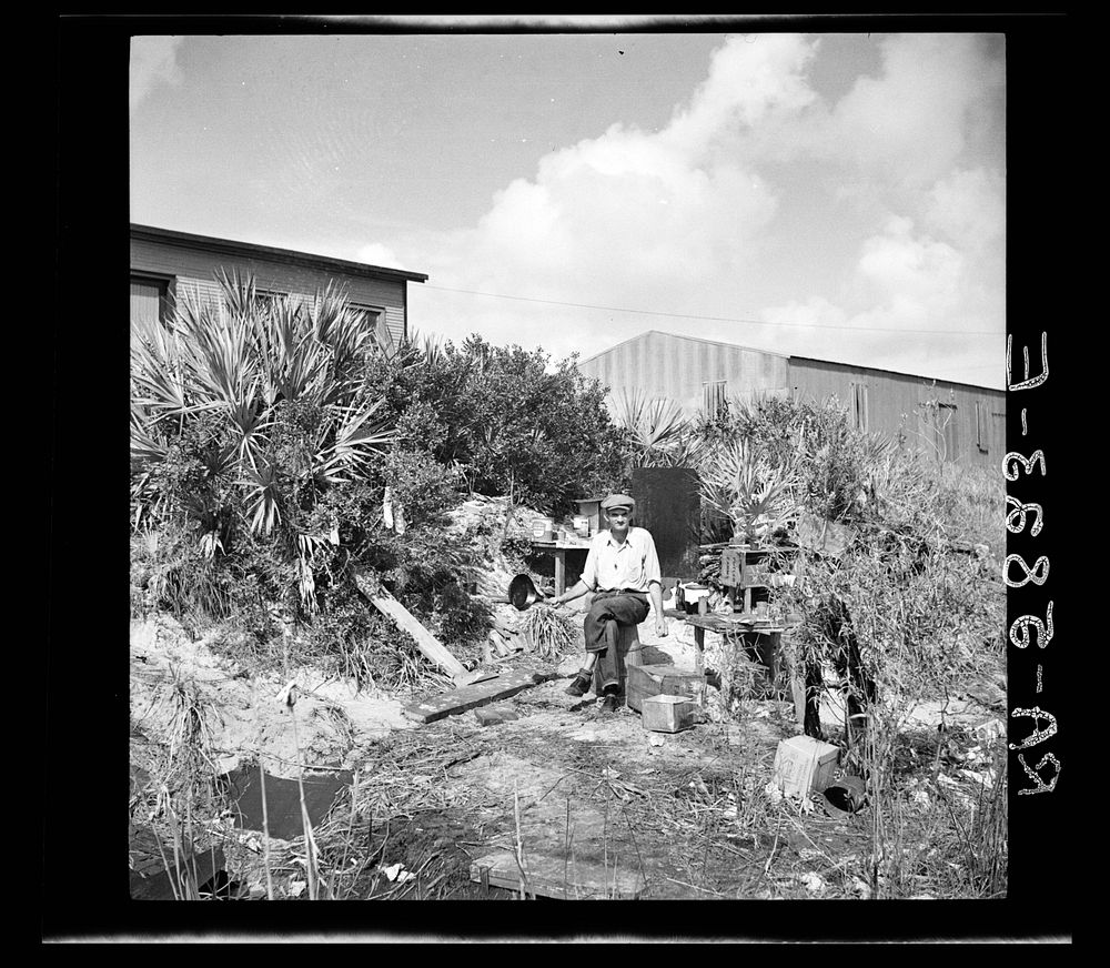 "Jungle George" of Deerfield, Florida. He works in the packing plant and lives in the open. Sourced from the Library of…