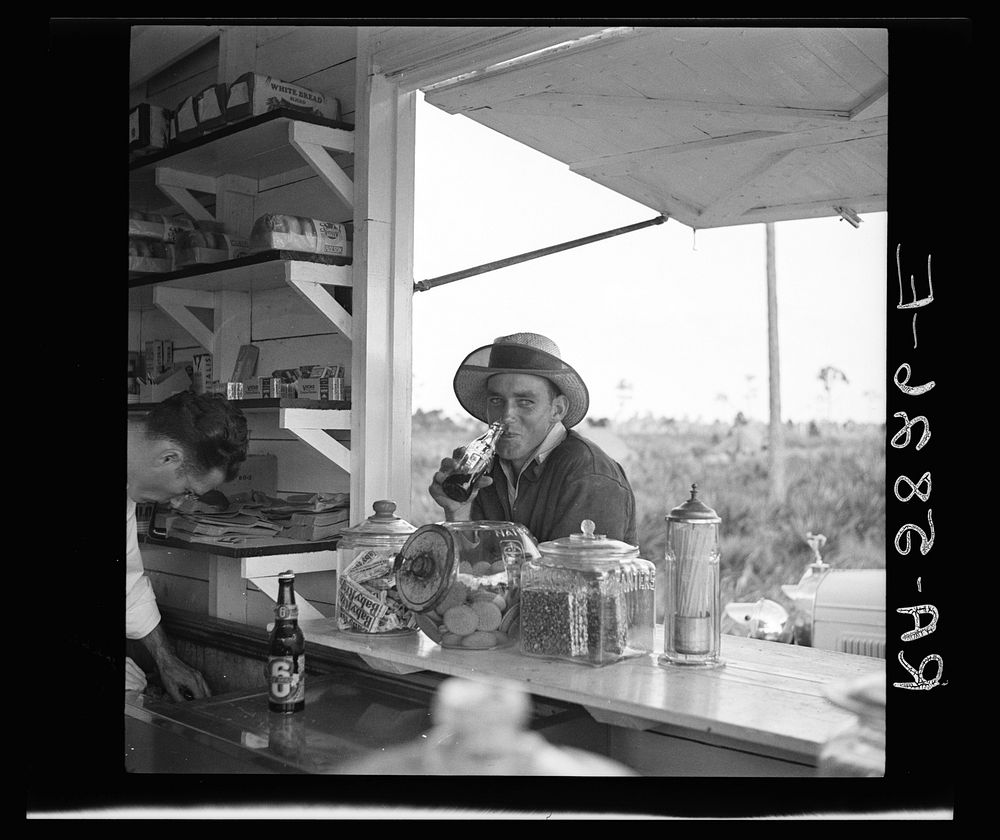 Unmarried man who works in the packinghouse at Deerfield, Florida. Sourced from the Library of Congress.