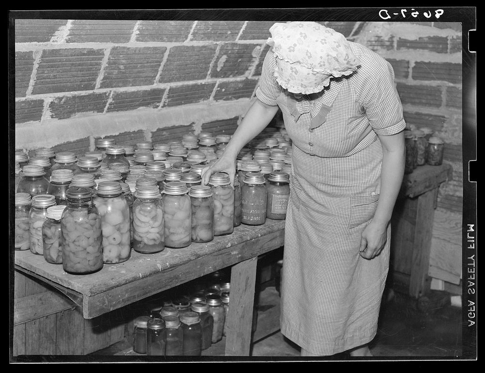 Lancaster County, Nebraska. Canned goods in the storage cellar of a Farm Security Administration rehabilitation client.…
