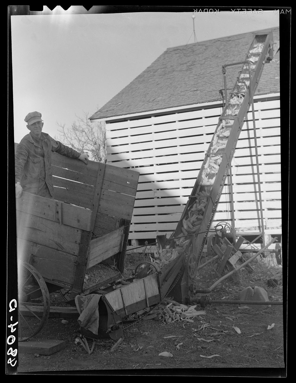Loading corn into crib. Otoe County, Nebraska. Sourced from the Library of Congress.