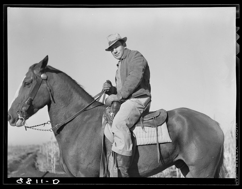 Cowboy. Dawson County, Nebraska. Sourced from the Library of Congress.