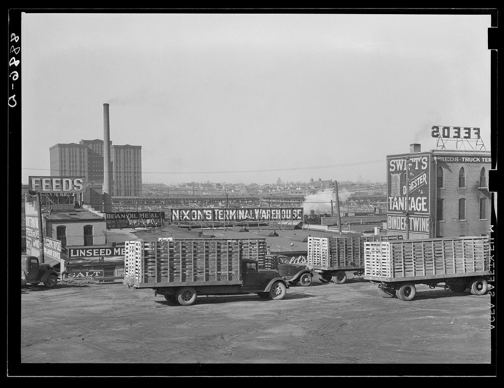 Cattle trucks at the stockyards. South Omaha, Nebraska. Sourced from the Library of Congress.
