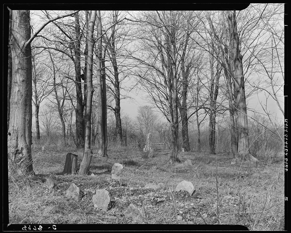 Four new graves in cemetery at Kempton, West Virginia, coal town. The infant mortality rate in this town is very high.…