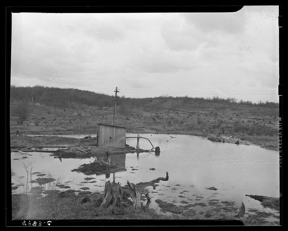 Water supply and cut-over land on the road into Kempton, West Virginia. Sourced from the Library of Congress.