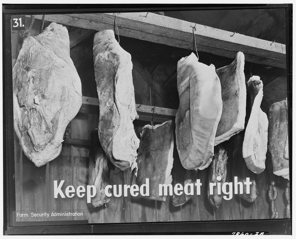Cured meat should be kept in a cool place, free from insects, mice, and rats. Sourced from the Library of Congress.