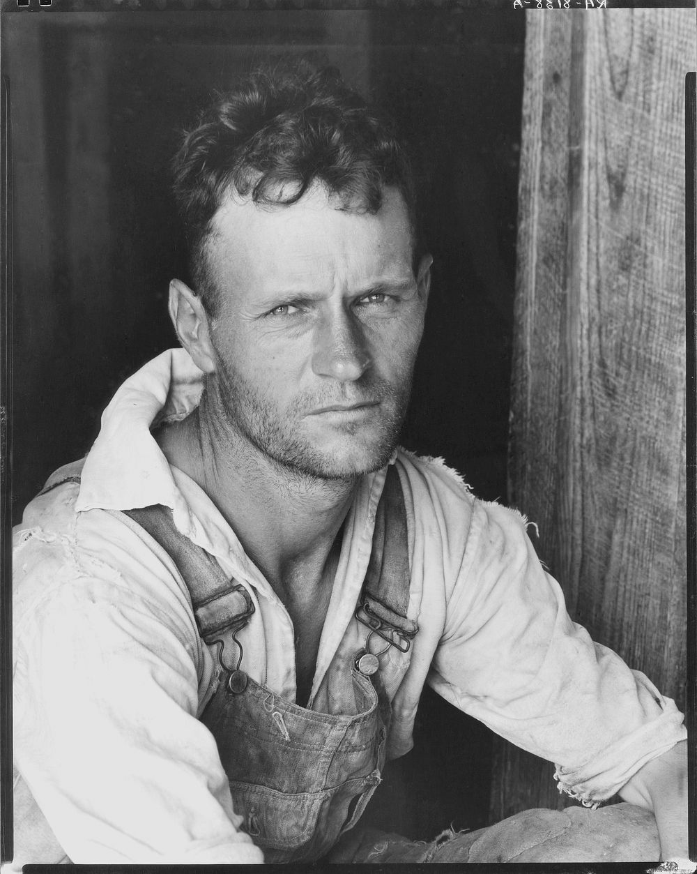Floyd Burroughs, cotton sharecropper. Hale County, Alabama. Sourced from the Library of Congress.