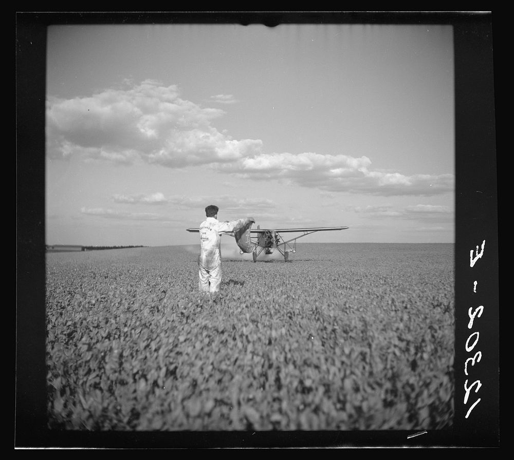 Duster plane spraying insecticide over a field of beans. The mechanic in the foreground indicates the outside limit of the…