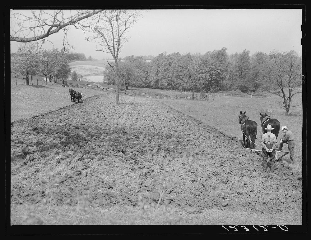 Small farm near Frederick, Maryland. Sourced from the Library of Congress.