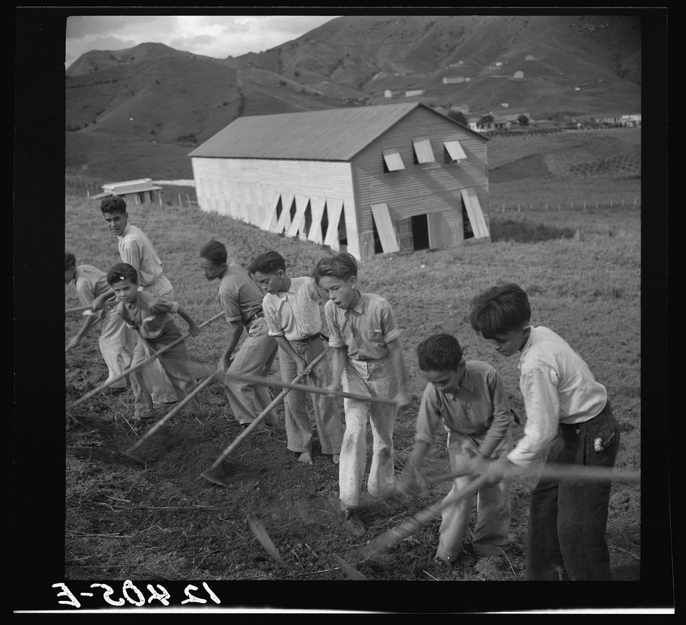Young sons of resettlers in an outdoor class of the agricultural school. La Plata project, Puerto Rico. Sourced from the…