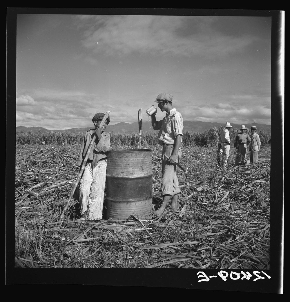 Ponce (vicinity), Puerto Rico. Sugar | Free Photo - rawpixel