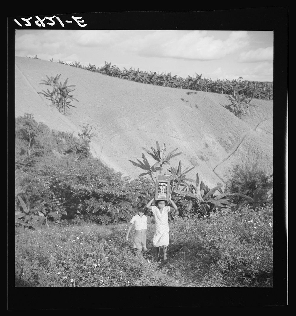 Children of tobacco worker fetching water from the creek. Puerto Rico. Sourced from the Library of Congress.