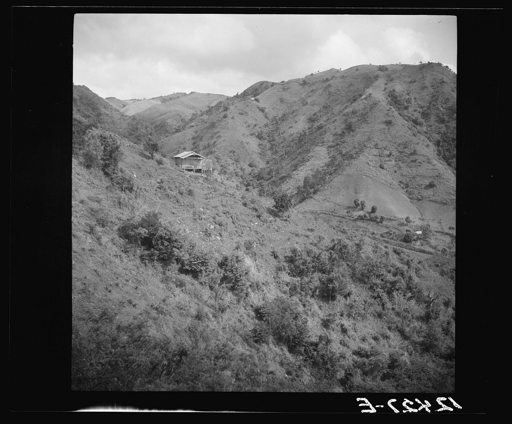 Landscape on the road from San Juan to Ponce. Puerto Rico. Sourced from the Library of Congress.