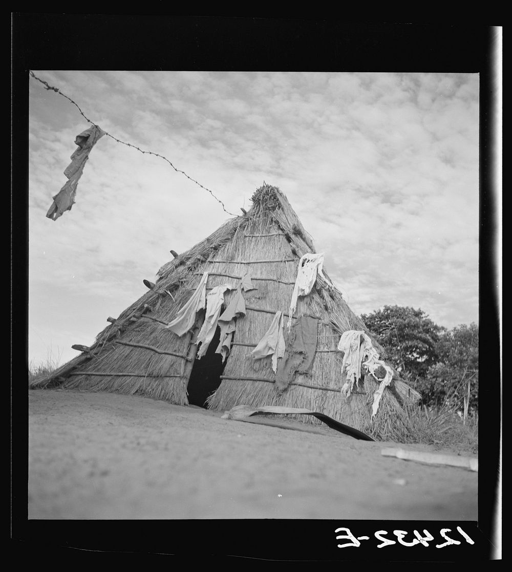Jibaro hurricane shelter. The rags are freshly-washed laundry drying. Puerto Rico. Sourced from the Library of Congress.