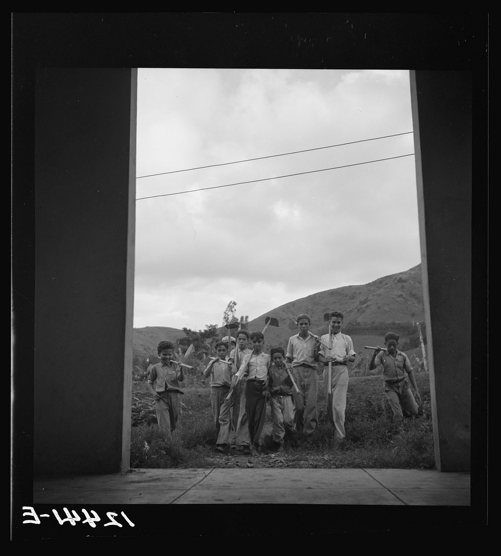 Returning from agricultural class. La Plata project, Puerto Rico. Sourced from the Library of Congress.