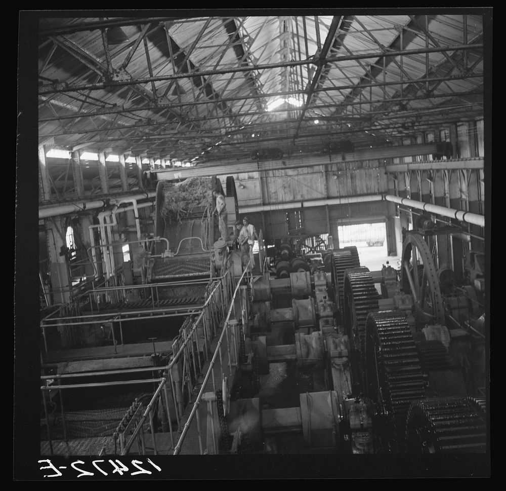 General view of a crusher on a large sugar refinery near Ponce, Puerto Rico. Sourced from the Library of Congress.