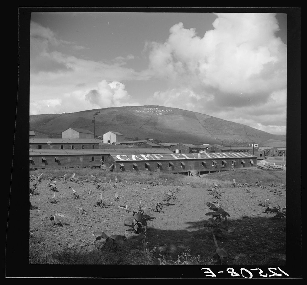 Labor camp. The inscription on the mountain translated reads: "P.R.R.A. New Deal" (Puerto Rico Resettlement Administration…