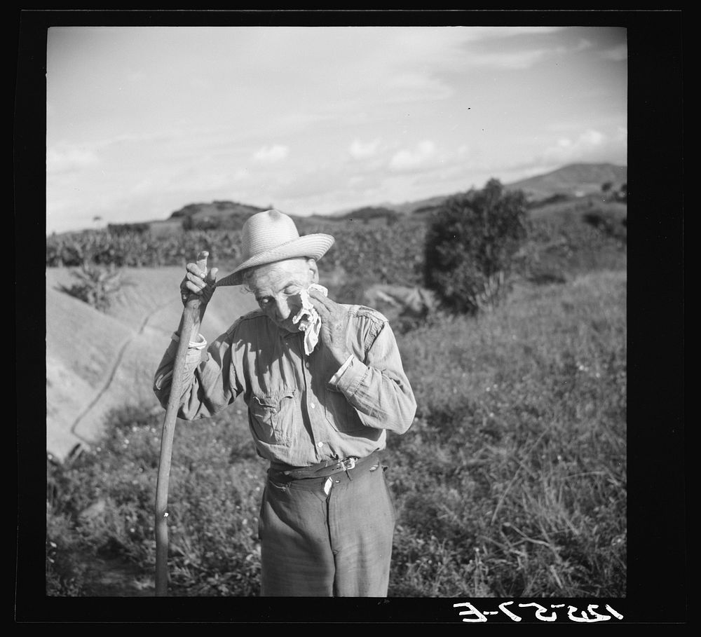 Old Jibaro, patriarch of a clan of twenty-one tobacco hillfarmers. Puerto Rico. Sourced from the Library of Congress.