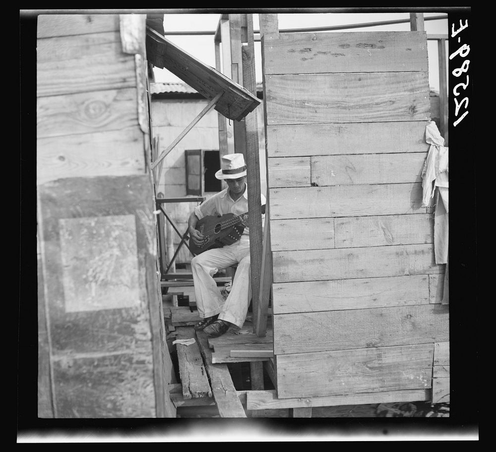 Guitar player above the swamp water. The workers' quarter of Puerto de Tierra. San Juan, Puerto Rico. Sourced from the…