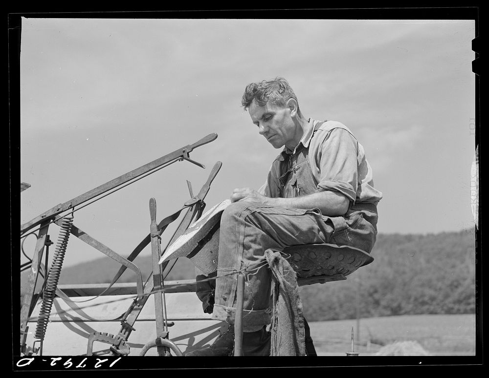Farmer on harvester. Near Middletown, Maryland. Sourced from the Library of Congress.