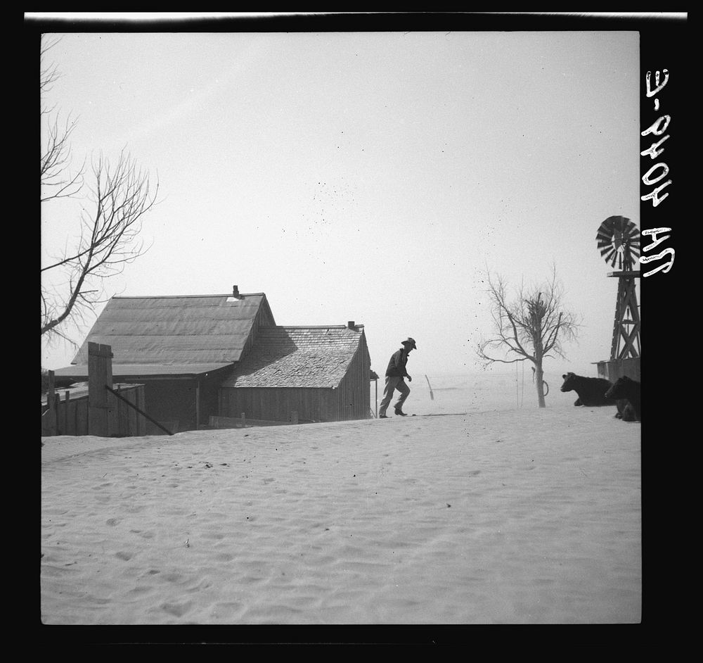 [Untitled photo, possibly related to: Cimarron County, Oklahoma. April, 1936. Dust Bowl]. Sourced from the Library of…