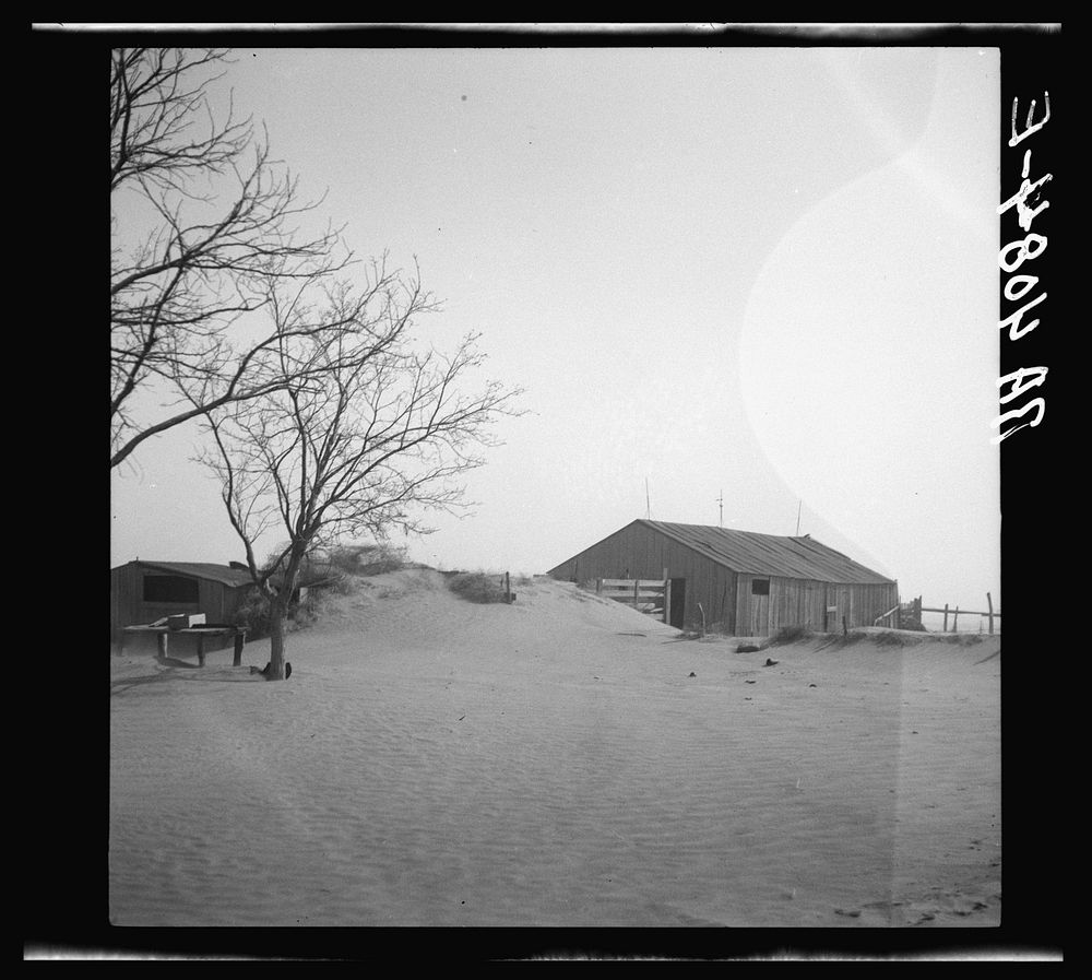 [Untitled photo, possibly related to: Barnyard. Cimarron County, Oklahoma]. Sourced from the Library of Congress.
