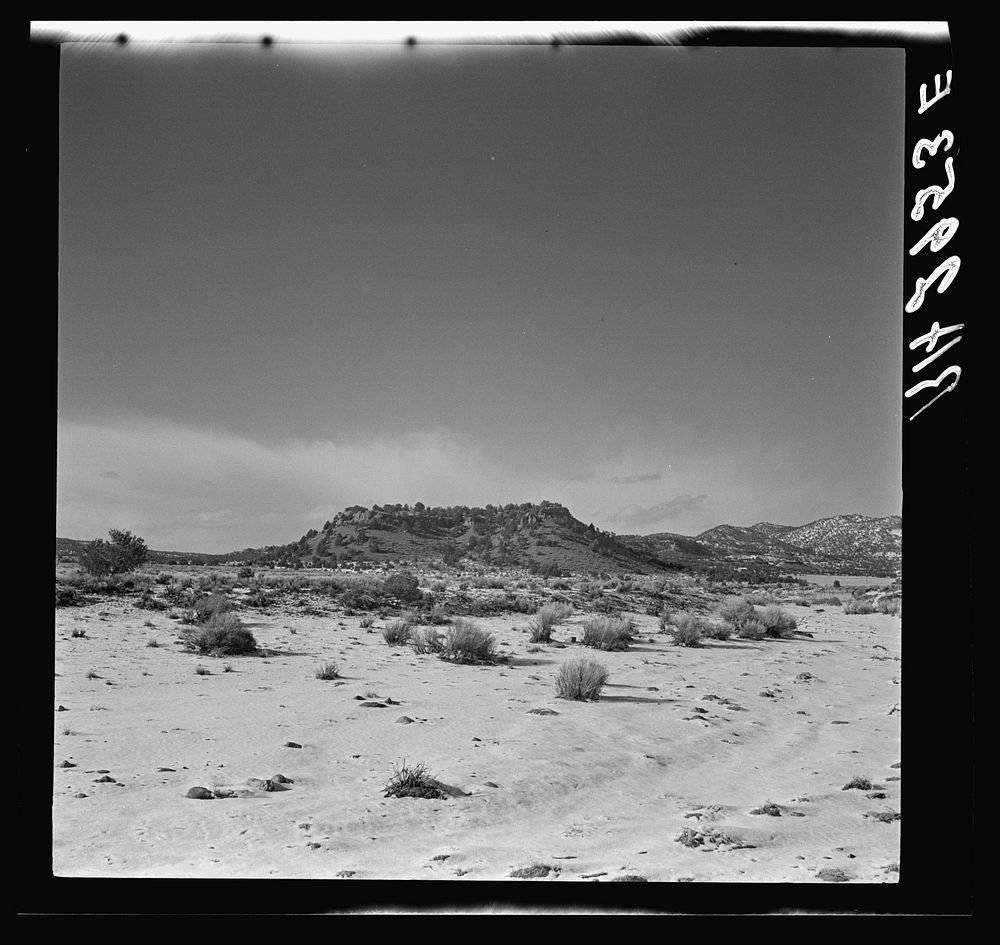 [Untitled photo, possibly related to: The land use project at Taos, New Mexico]. Sourced from the Library of Congress.