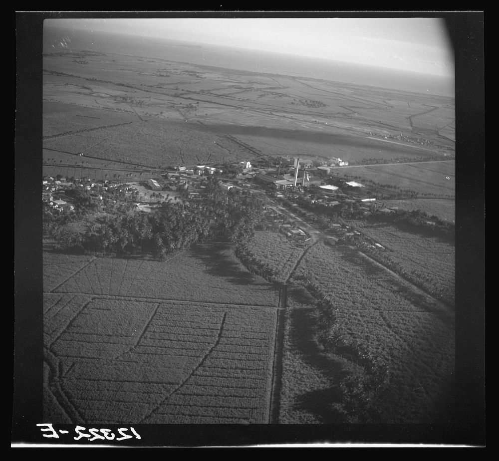[Untitled photo, possibly related to: Air view of sugar refinery surrounded by fields. Near Ponce, Puerto Rico]. Sourced…