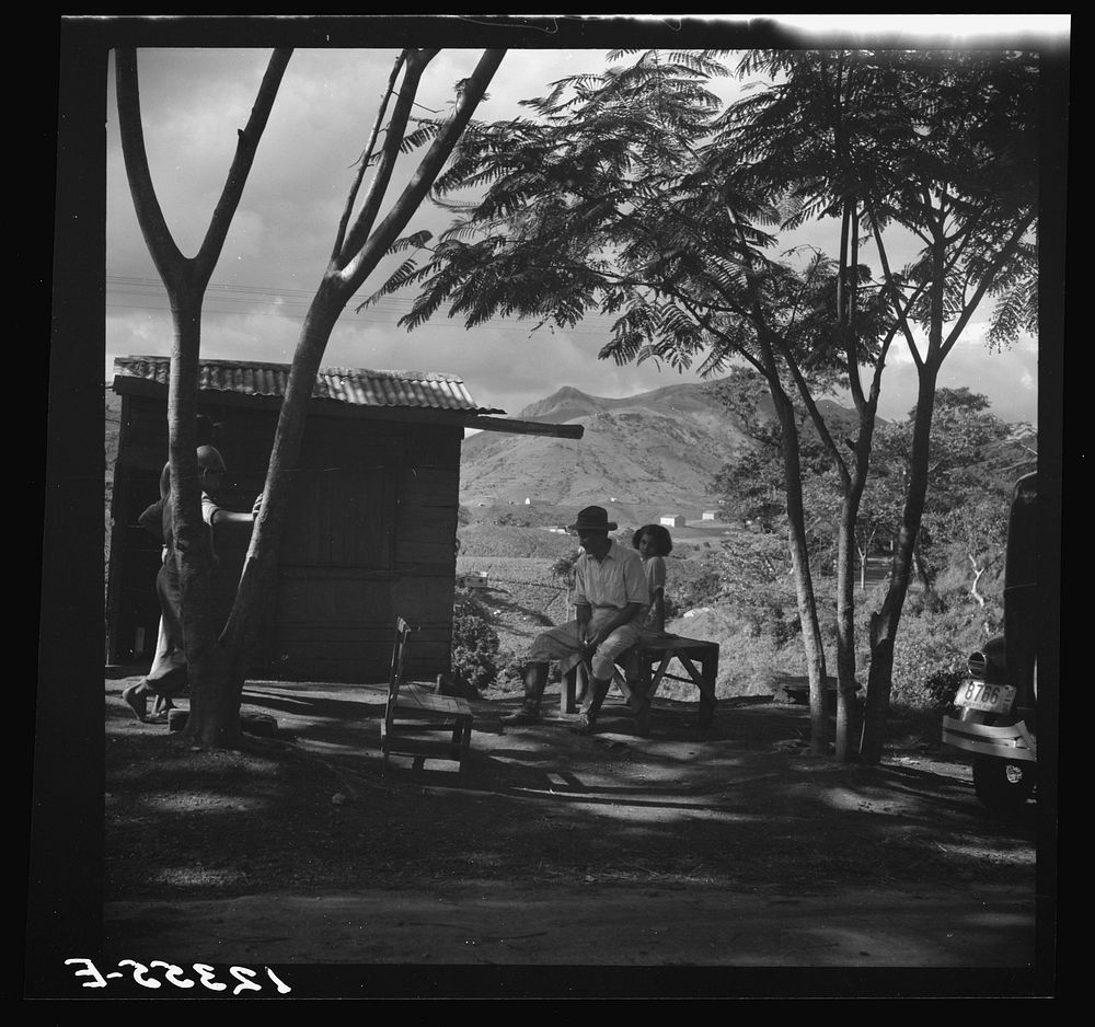 [Untitled photo, possibly related to: Exterior of country store in the hills. Puerto Rico]. Sourced from the Library of…