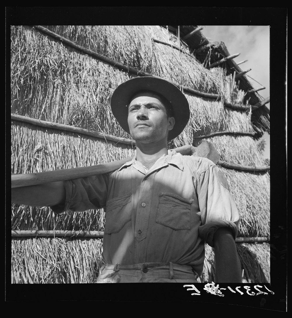 [Untitled photo, possibly related to: Jibaro tobacco worker. Near Cidra, Puerto Rico]. Sourced from the Library of Congress.
