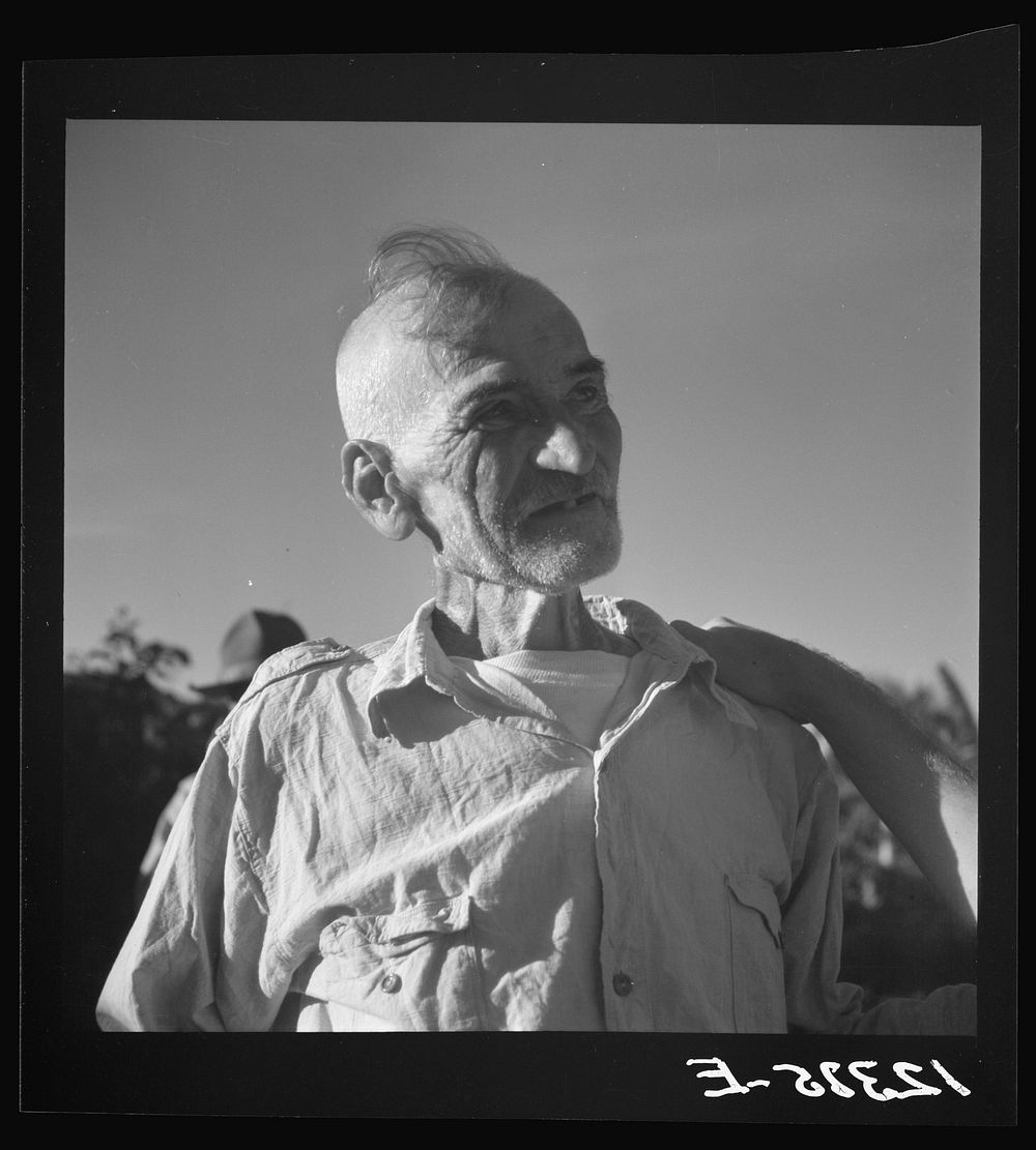 [Untitled photo, possibly related to: Old "Jibaro," patriarch of a clan of twenty-one tobacco hill farmers. Puerto Rico].…