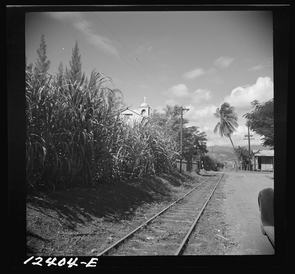 [Untitled photo, possibly related to: Ponce (vicinity), Puerto Rico. Sugar workers on a plantation]. Sourced from the…