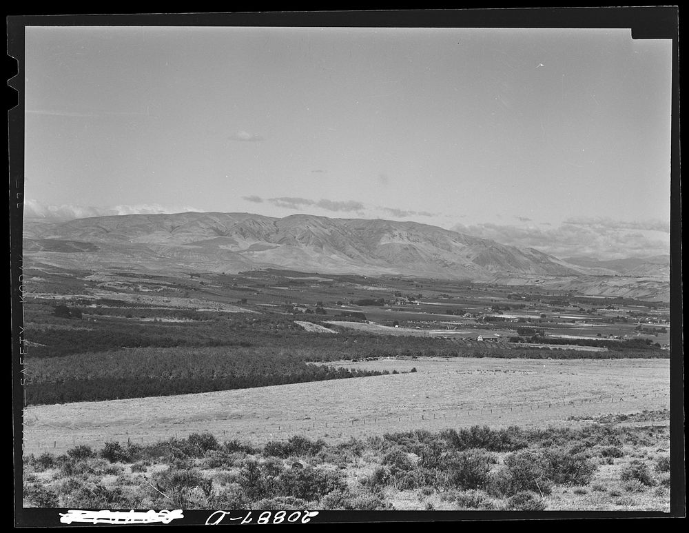 [Untitled photo, possibly related to: View of Yakima Valley, Washington]. Sourced from the Library of Congress.