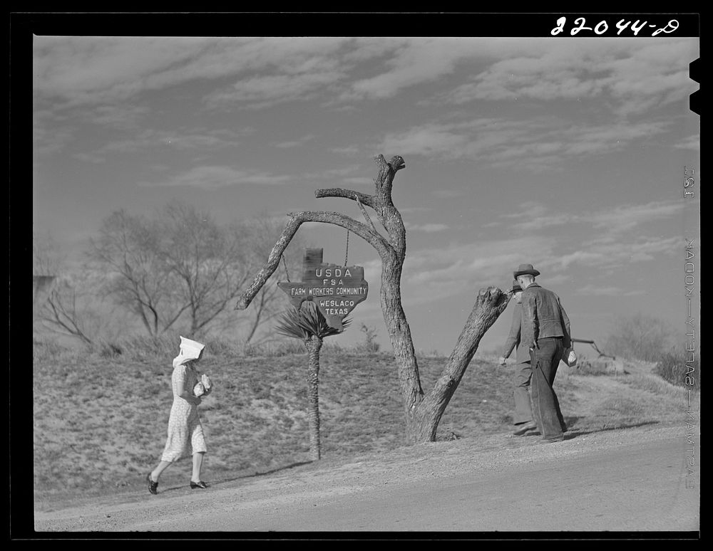 [Untitled photo, possibly related to: Weslaco, Texas. FSA (Farm Security Administration) camp. Irrigation canal at…